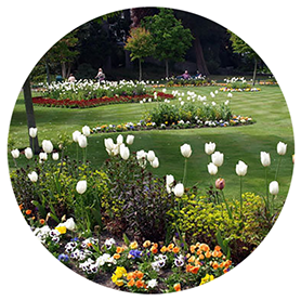 The Groundsman Landscapes Ltd - Grounds Maintenance in London, Surrey and surrounding areas